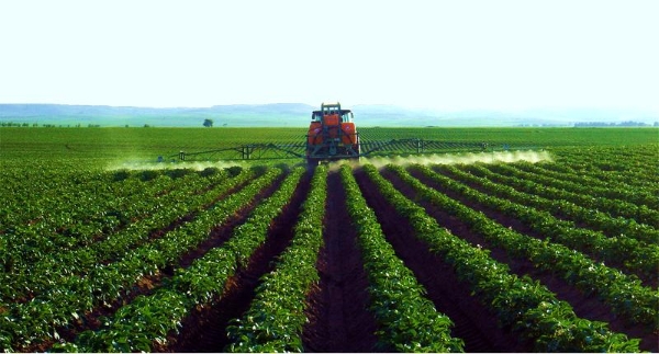 雪川荣获2025年农村创业项目大赛一等奖 “薯光”照亮产业振兴路 