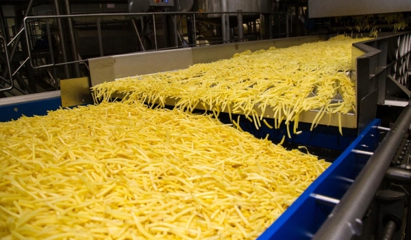 雪川荣获2025年农村创业项目大赛一等奖 “薯光”照亮产业振兴路 