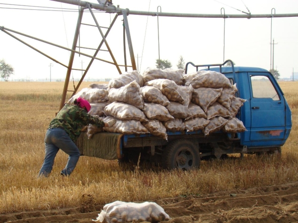 雪川荣获2025年农村创业项目大赛一等奖 “薯光”照亮产业振兴路 