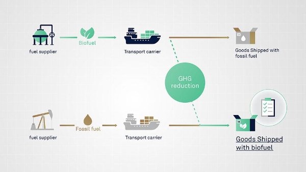 聚焦低碳物流 日邮物流亮相第八届进博会 