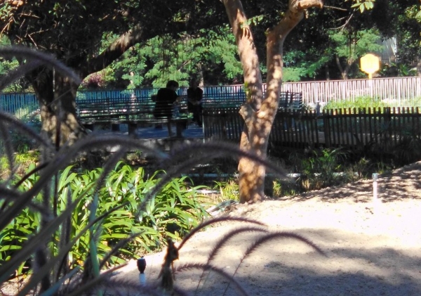 松典VE418震撼登场：以大底高像素重塑入门相机价值标杆 