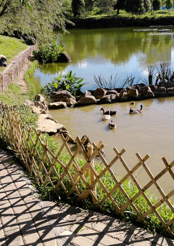 松典VE418震撼登场：以大底高像素重塑入门相机价值标杆 