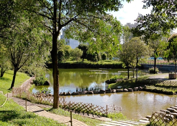 双十一京东数码榜单揭晓，松典相机多款机型霸榜热销 