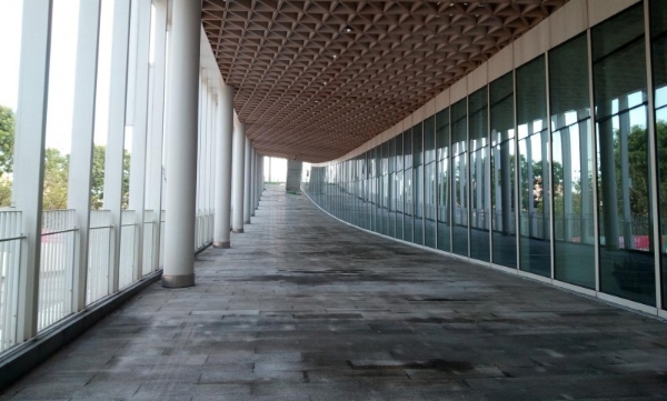 双十一京东数码榜单揭晓，松典相机多款机型霸榜热销 