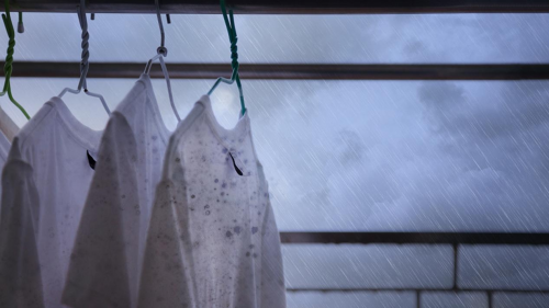 服务全球超10万企业，百奥成华南控湿领域代表性品牌 