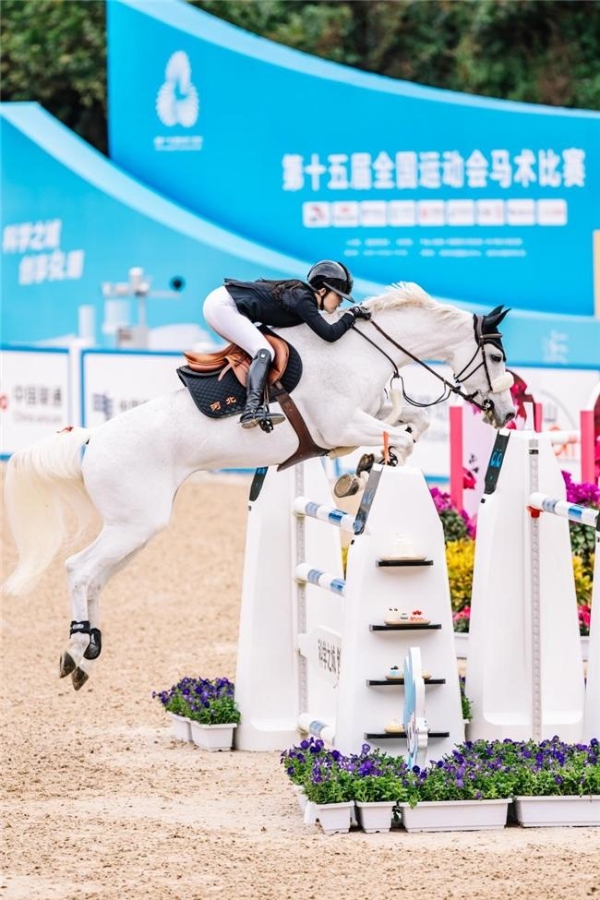 全运会 | 河北队刷新全运会马术参赛历史，王韫婧勇夺全运会马术个人赛银牌 