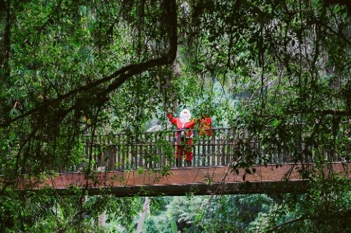 与巴厘岛四季度假酒店开启节日季庆典，奏响可持续的心灵狂想曲 