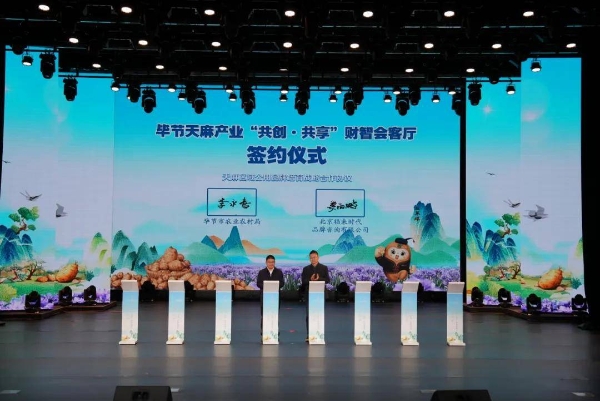 一株神草如何撬动亿万产业？毕节交出产业升级新答卷 