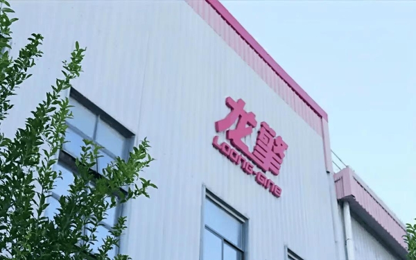 东风龙擎叶峰：战略、技术与服务铸就市场开拓基础 