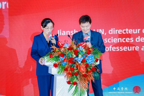 2025北京论坛—促进中法合作 振兴中法学院中法学院专题论坛成功举办 