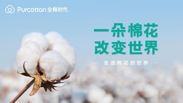 走进棉花的世界 全棉时代记录一朵棉花带来的改变 