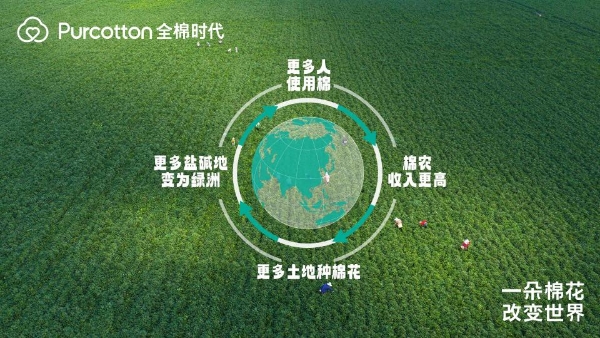 走进棉花的世界 全棉时代记录一朵棉花带来的改变 