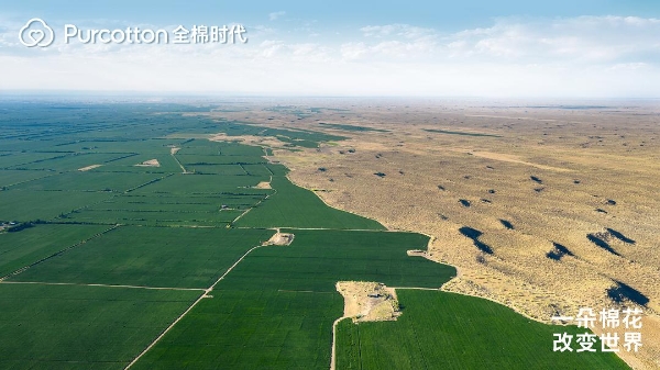 走进棉花的世界 全棉时代记录一朵棉花带来的改变 