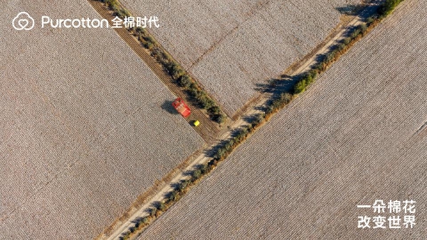 走进棉花的世界 全棉时代记录一朵棉花带来的改变 