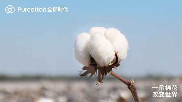 走进棉花的世界 全棉时代记录一朵棉花带来的改变 