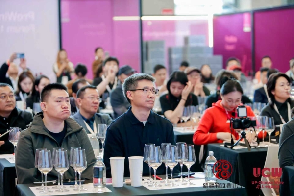 葡萄美酒最新疆 一起UP的力量