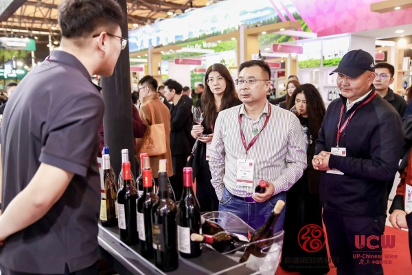 葡萄美酒最新疆 一起UP的力量