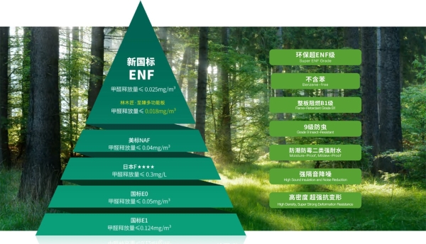 林木匠荣获2025“好房子”两项殊荣：以匠心品质筑就美好生活 