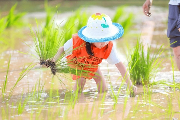 文旅融合启新程 惠民消费绽活力——2025华侨城旅游狂欢节全景纪实 