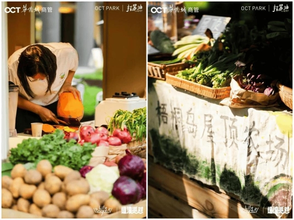 文旅融合启新程 惠民消费绽活力——2025华侨城旅游狂欢节全景纪实 