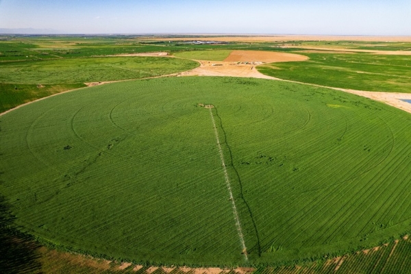 进博“全勤生”蒙牛以创新之笔 交出高分答卷 