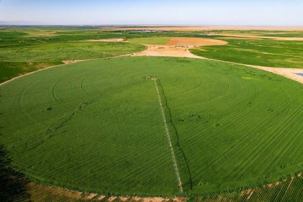 国际奥委会主席考文垂到访蒙牛集团 点赞乌兰布和沙漠治理实践 