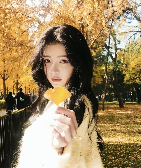 开始抗长剧的00花 