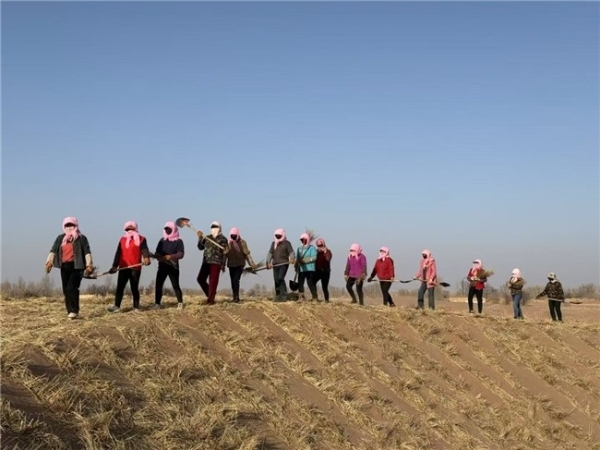 米连科技“绿”动未来，携用户守护绿水青山 