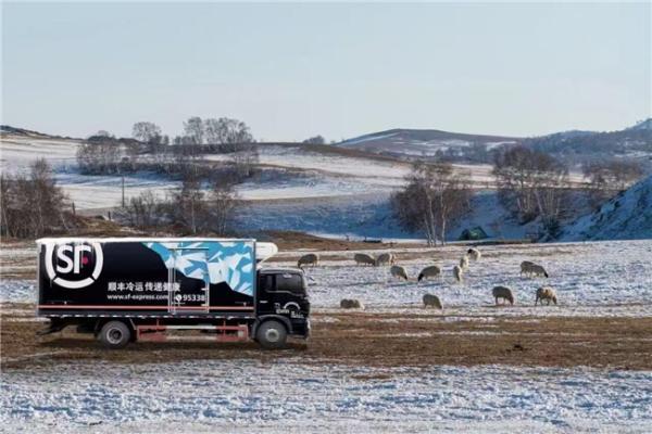 物流织网，品牌添翼，呼伦贝尔与顺丰共赴农牧业品牌化新纪元