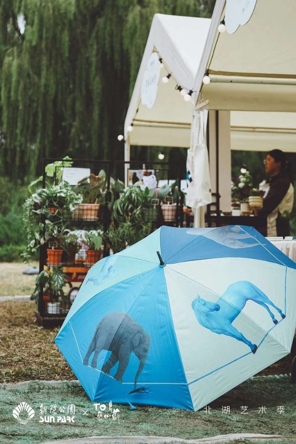 北湖艺术季温暖落幕，以艺术织就秋日诗意长卷，激活城市“第三生活空间”