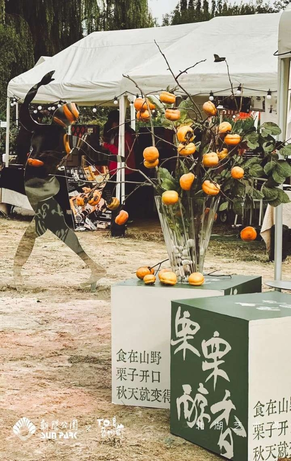北湖艺术季温暖落幕，以艺术织就秋日诗意长卷，激活城市“第三生活空间”