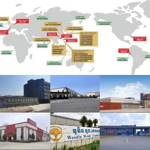 全球饰面大会| 大自然家居获颁行业报告参编证书，2024社会责任报告同步发布 