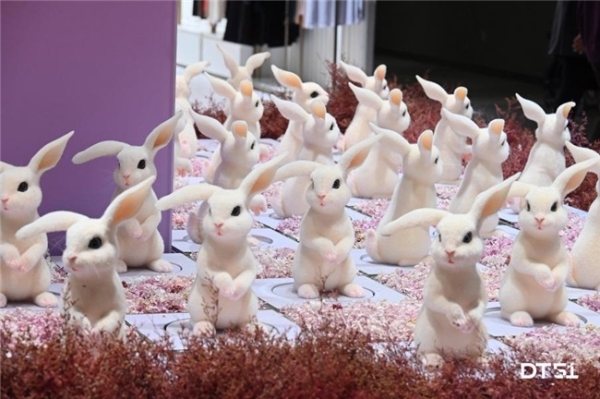 Juno Markets亮相深圳金融展：以技术为引擎，用服务赢人心 