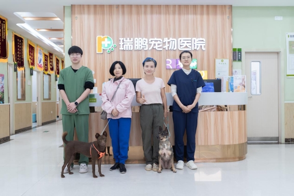 新瑞鹏携手公益伙伴助力“小流浪变身搜救犬”，以专业守护生命的另一种可能 