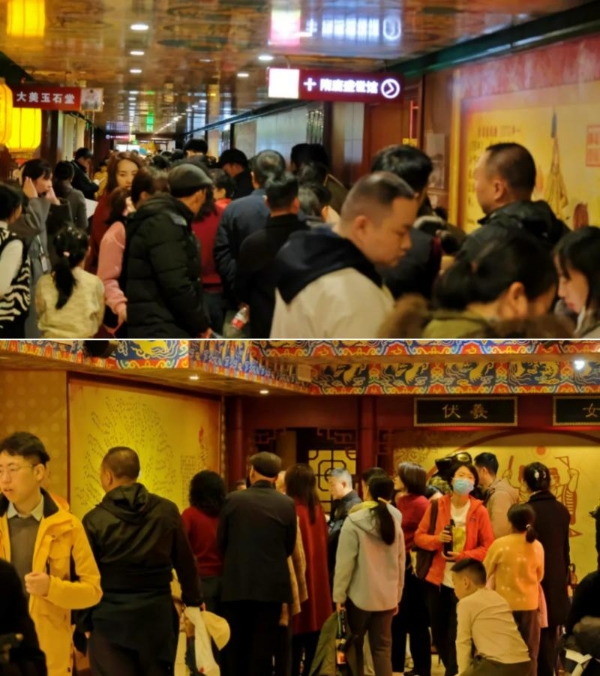 宇宙中心森林氧吧房重磅上线，打造全球康养旅居新标杆 