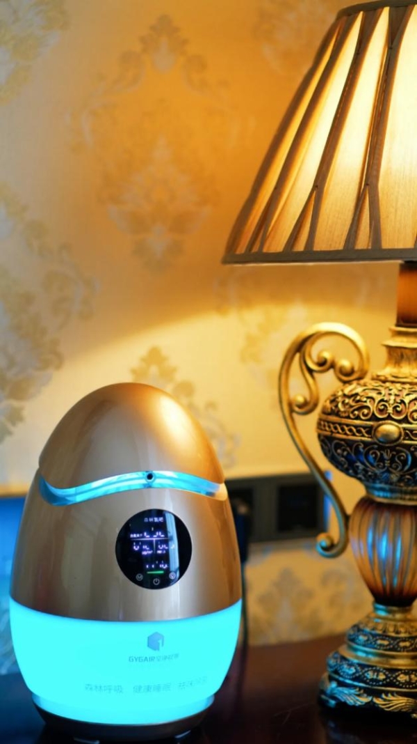 宇宙中心森林氧吧房重磅上线，打造全球康养旅居新标杆 