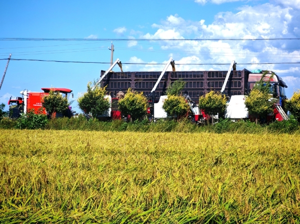 中国三星助力乡村振兴有“质”更有“智” 