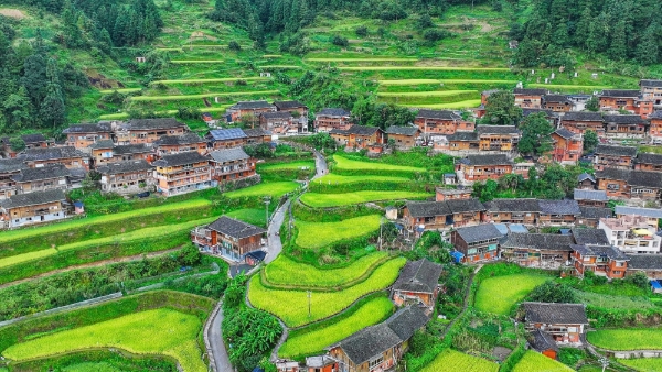 中国三星CSR新三年战略收官 扎实履行社会责任 