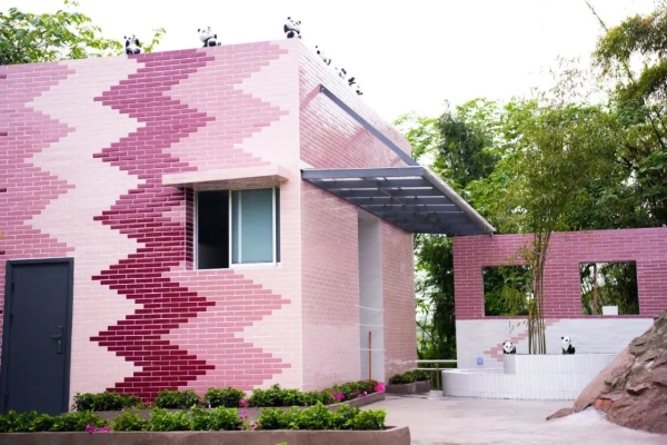 中国三星CSR新三年战略收官 扎实履行社会责任 