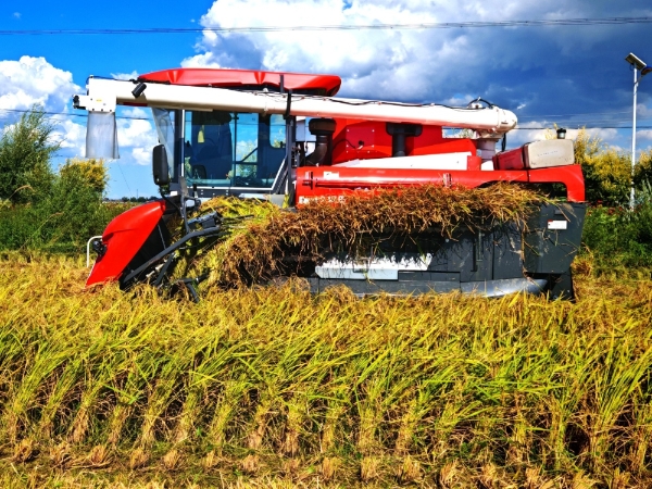 中国三星CSR新三年战略收官 扎实履行社会责任 