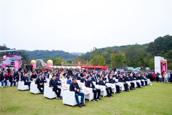 2025中国“4+2”接力挑战赛揭幕战在芜湖繁昌激情启幕 