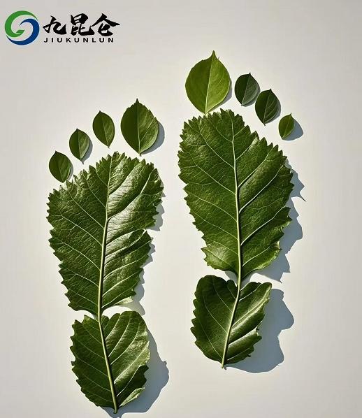 九昆仑低碳科技：以科技构建全球碳中和新生态 