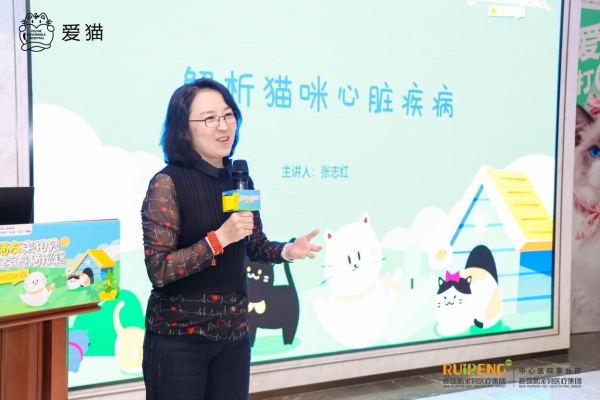 新瑞鹏“爱猫项目”举办专业沙龙 汇聚权威专家护航爱猫健康 