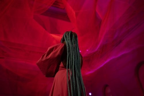 史密森尼系列博物馆及动物园即将重新开放 