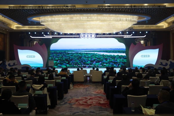 藕莲京城荷力全开 洪湖莲藕品牌价值发布暨品牌发展大会在北京举行