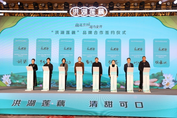 藕莲京城荷力全开 洪湖莲藕品牌价值发布暨品牌发展大会在北京举行