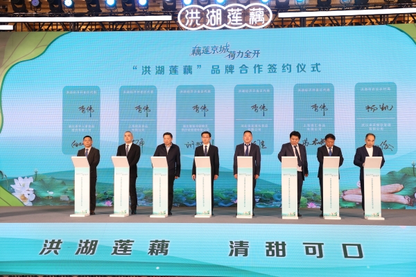 藕莲京城荷力全开 洪湖莲藕品牌价值发布暨品牌发展大会在北京举行