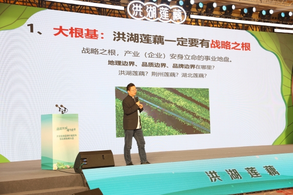 藕莲京城荷力全开 洪湖莲藕品牌价值发布暨品牌发展大会在北京举行