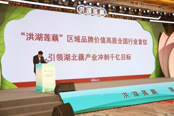藕莲京城荷力全开 洪湖莲藕品牌价值发布暨品牌发展大会在北京举行