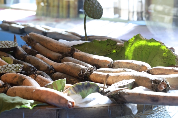 藕莲京城荷力全开 洪湖莲藕品牌价值发布暨品牌发展大会在北京举行